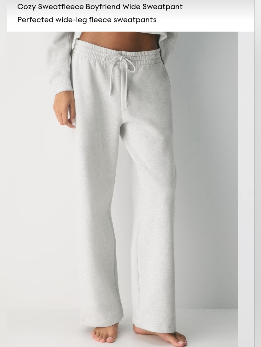 Wide-Leg Aritzia Sweatpants With Drawstring in Heather Grey